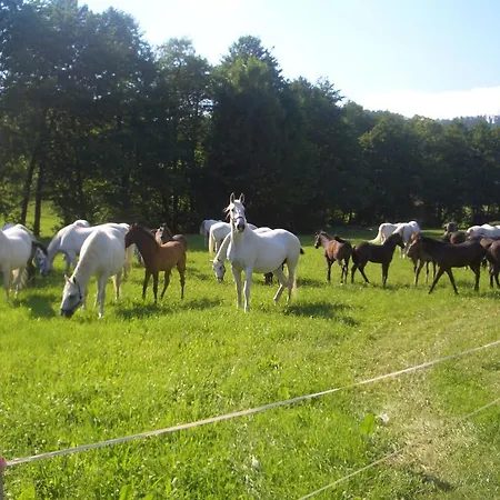 아파트 Gaestehaus Maria *