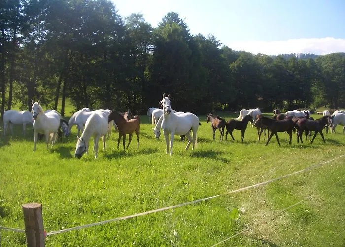 Daire Gaestehaus Maria *